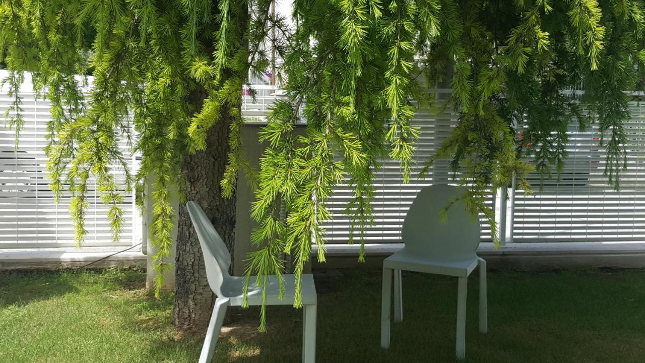 B&B "Al Colle 11" 法诺 外观 照片